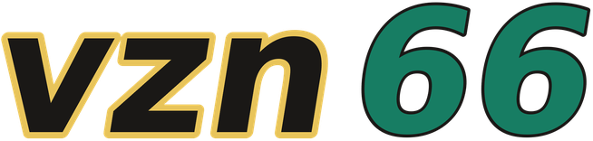 vzn66 logo
